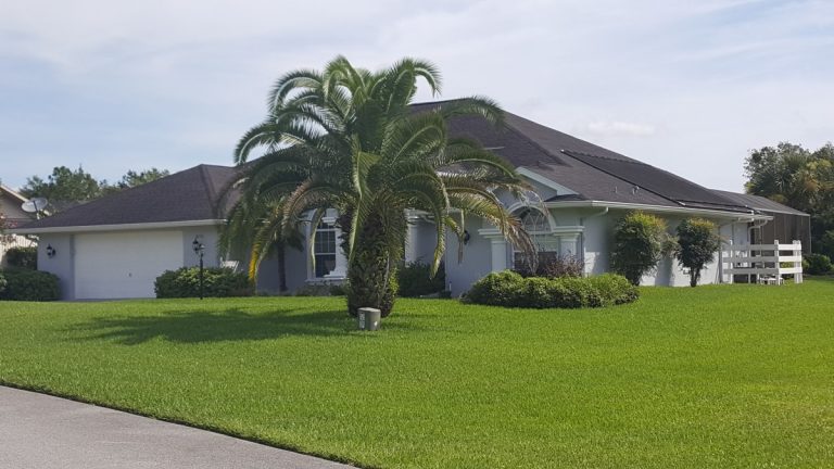 House with lush green lawn and large palm tree in front