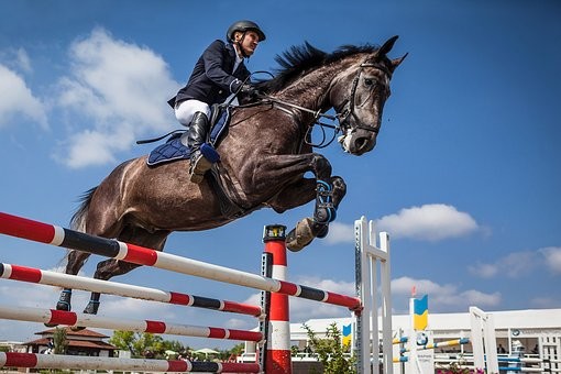 horse-show-jumping