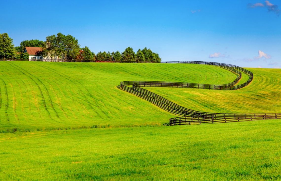 vacant land with grass and horse fences