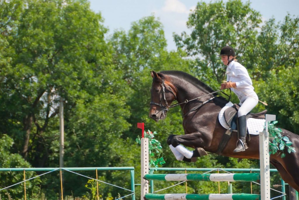 female rider competing in horse jumping