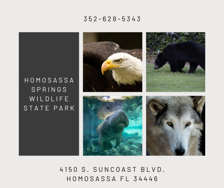 collage of wild animals including eagle, wolf, manatee and black bear