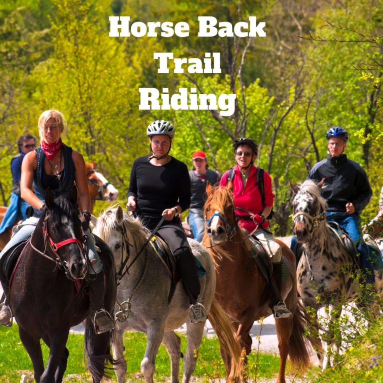 several people on horseback riding