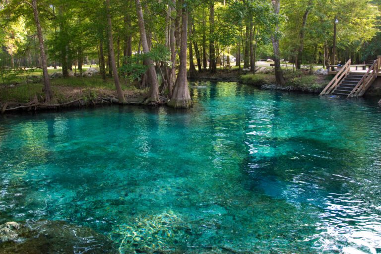 Florida Fresh Water Springs - Swimming Hole