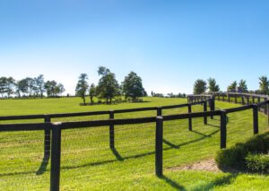 Double fence at horse farm in Pine Ridge Estates - Beverly Hills, Fl