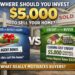 Graphic comparing buyer incentives to sell a home, showing a $5,000 buyer agent bonus versus a $5,000 buyer closing cost credit to motivate home buyers.